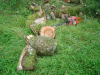  passing these on to a local woodturner
